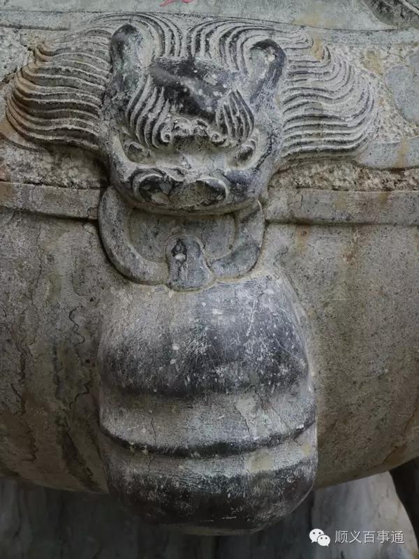 北京市顺义公园,从小就爱上你