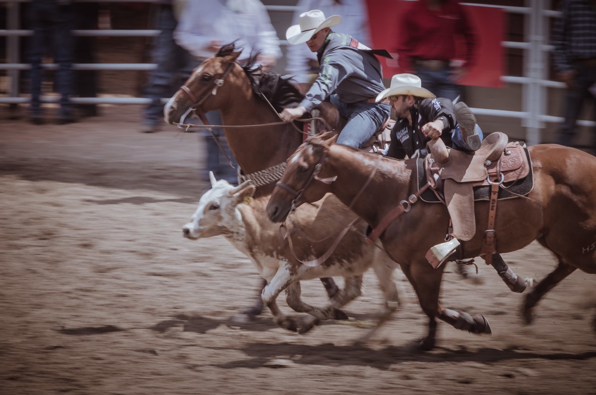 暑假旅游目的地推荐去哪里,暑假加拿大旅游
