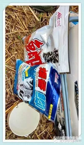 周日垂钓,洋河钓鲫鱼