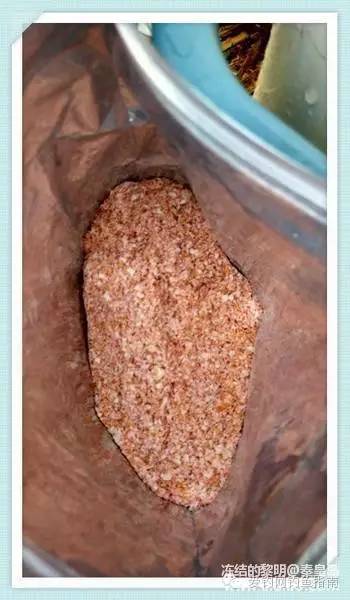 周日垂钓,洋河钓鲫鱼