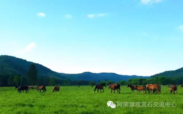 阿荣旗呼伦贝尔,呼伦贝尔市阿荣旗美景