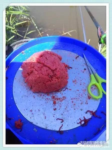 周日垂钓,洋河钓鲫鱼