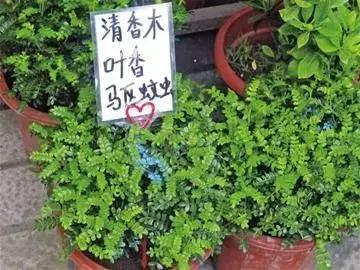 烈日当空如何防紫外线,烈日炎炎防暑防晒