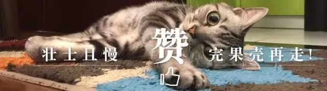 没了月亮地球会有问题吗,如果没有月亮地球会怎样