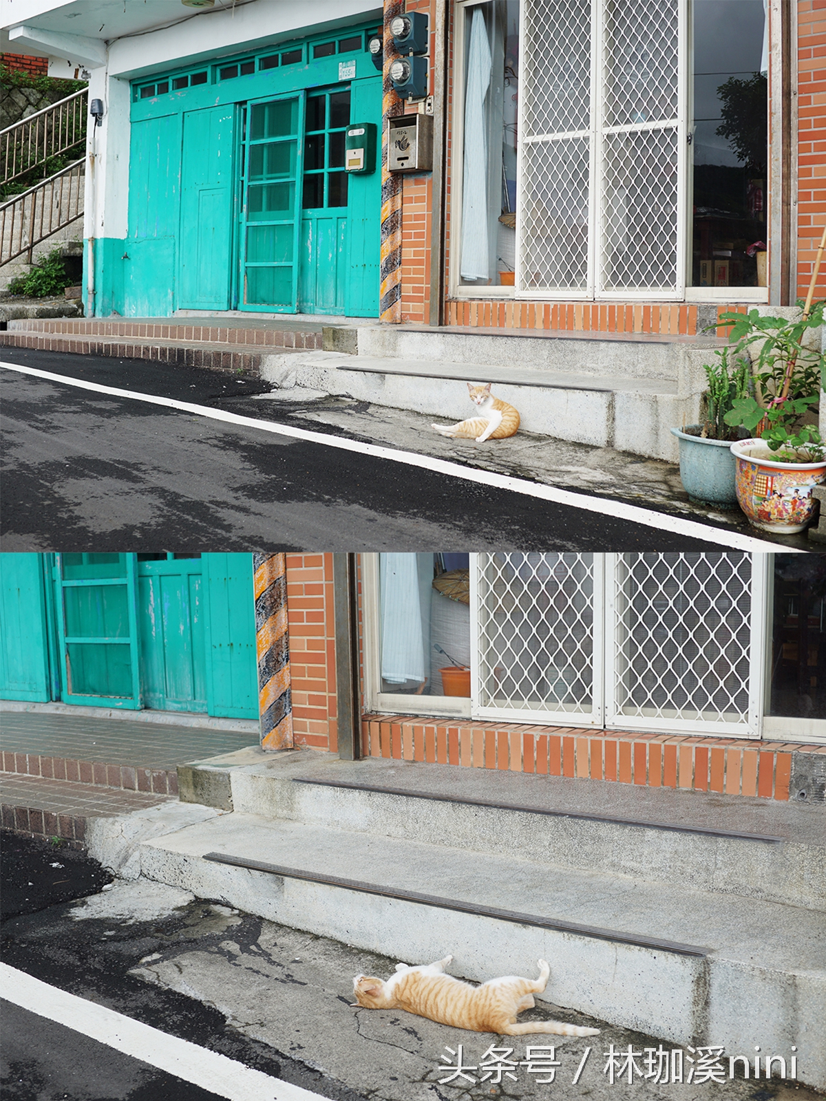 带ni去旅行｜台湾三人行——闺蜜照就这么拍