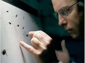 世界十大奇葩高薪工作,有趣的高薪工作