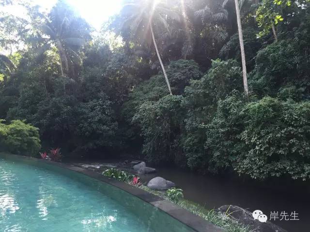 巴厘岛攻略|花155元望着大海享受SPA，神仙也不过如此