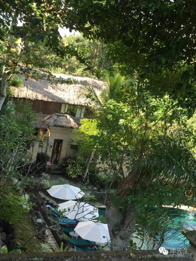 巴厘岛攻略|花155元望着大海享受SPA，神仙也不过如此