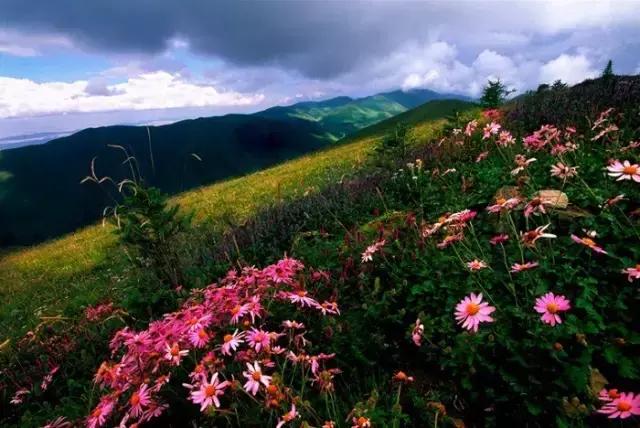 固原摄影风景,宁夏固原唯一印象摄影