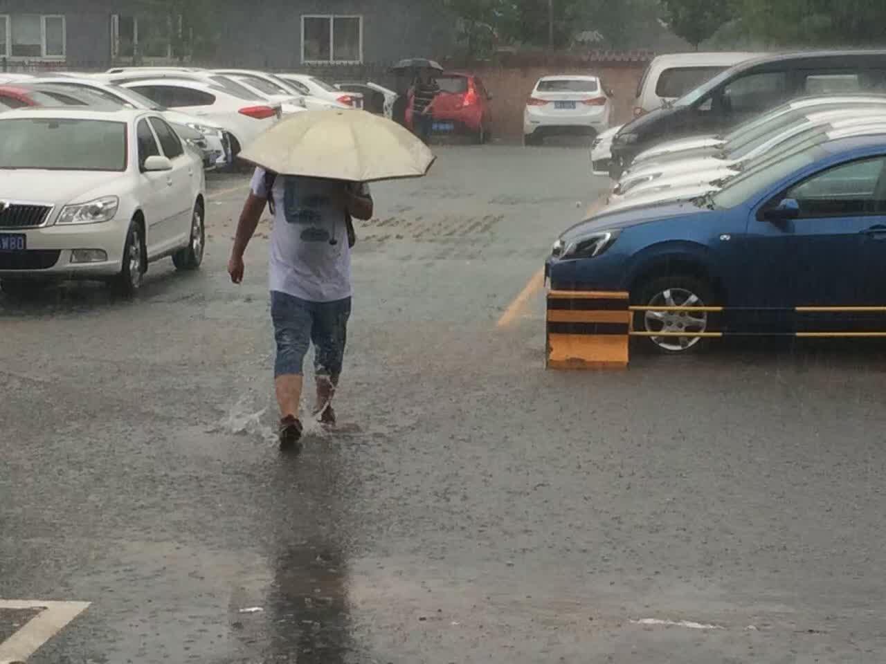 电动汽车分时租赁流程,电动汽车分时租赁是真的吗