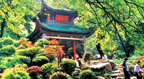 鸡冻！衢州人能坐高铁到云南啦！省了30小时，沿途风景美哭你！