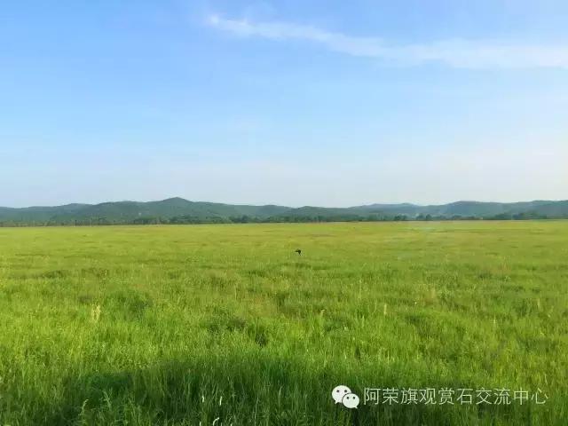 阿荣旗呼伦贝尔,呼伦贝尔市阿荣旗美景