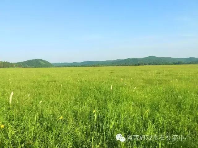 阿荣旗呼伦贝尔,呼伦贝尔市阿荣旗美景