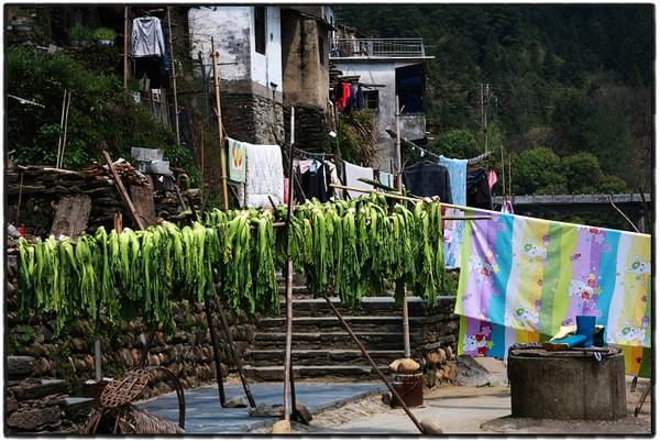 亲子时光慢生活,慢生活亲子