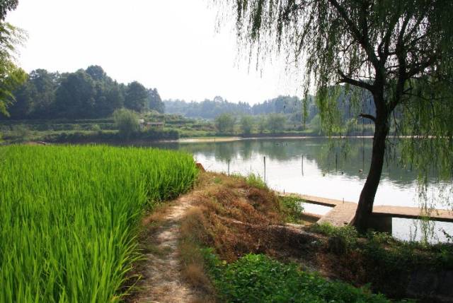 亲子时光慢生活,慢生活亲子