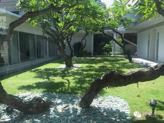 巴厘岛攻略|花155元望着大海享受SPA，神仙也不过如此