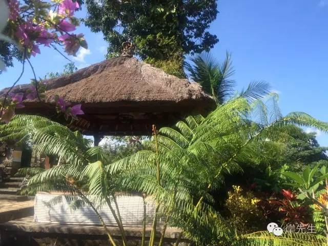 巴厘岛攻略|花155元望着大海享受SPA，神仙也不过如此