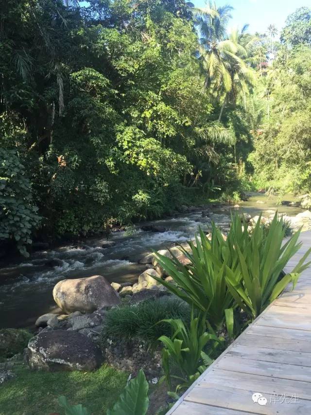 巴厘岛攻略|花155元望着大海享受SPA，神仙也不过如此