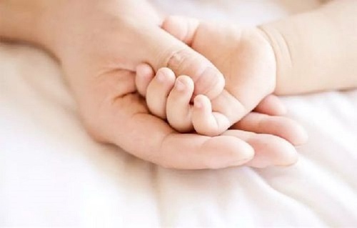 字里藏医合集,字里藏医简介