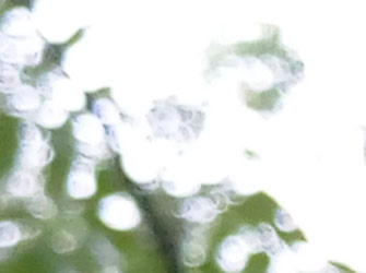 魅族MX6测评,魅族mx6最新测评