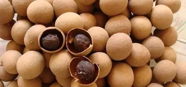 戴了二十多年环取出来是什么样的,上了20多年的环怎么取