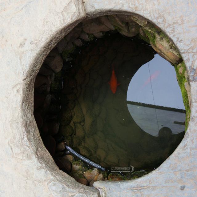 亲子时光慢生活,慢生活亲子