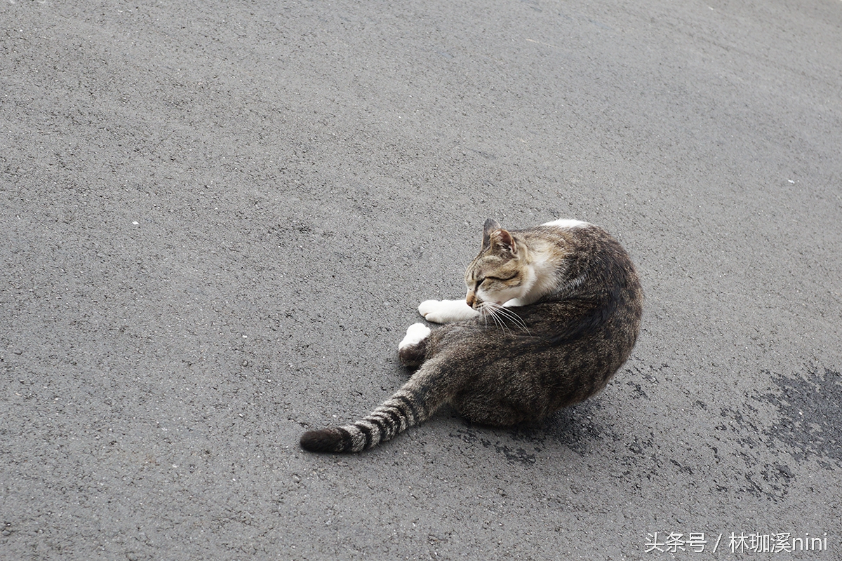 带ni去旅行｜台湾三人行——闺蜜照就这么拍