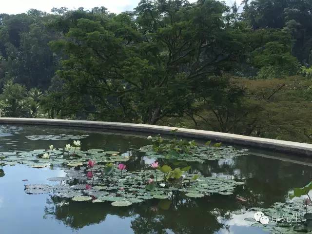 巴厘岛攻略|花155元望着大海享受SPA，神仙也不过如此