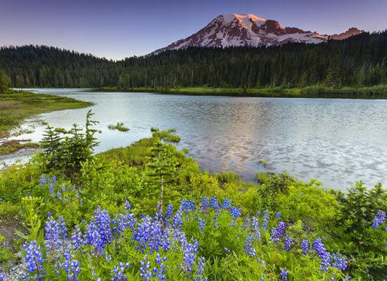 美国人吃美食食品,美国人吃美食吃到爽