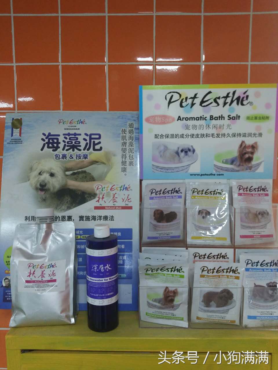 狗狗spa用什么产品,狗狗spa教程