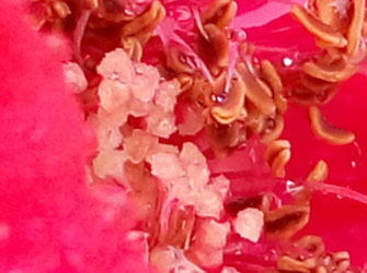 魅族MX6测评,魅族mx6最新测评