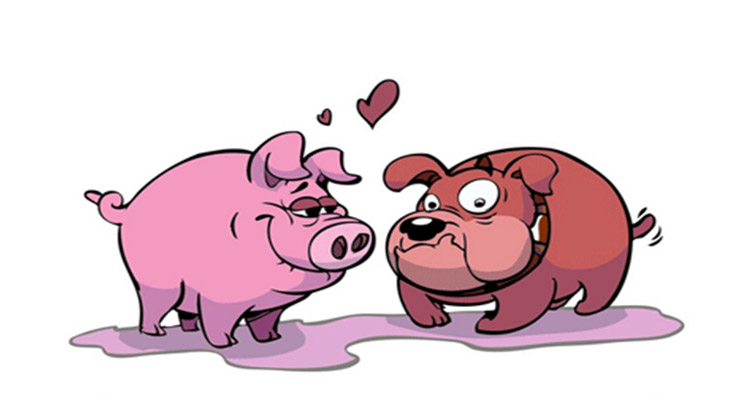 男女五行相克怎么化解,男女属相配对的忌讳