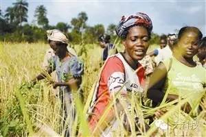 非洲农业的天然劣势