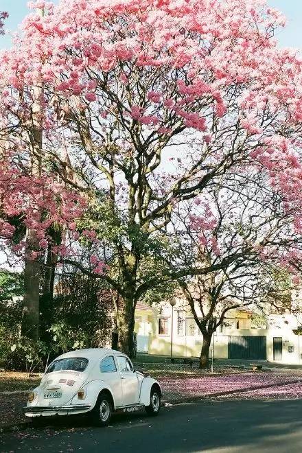 用什么方法分手,用什么办法分手不伤人