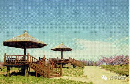 别找我，我去村里耍了！秦皇岛农家乐大盘点~