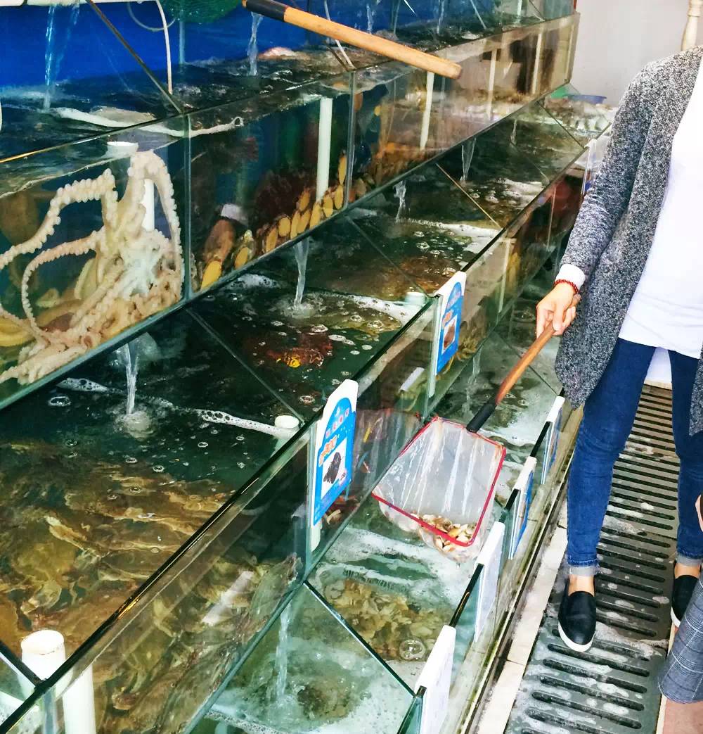 舟山自驾游5天攻略大全图,舟山群岛自驾攻略最佳线路