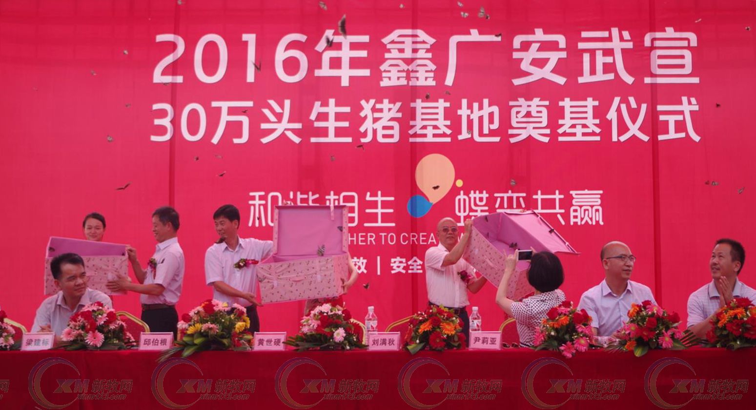 鑫广安农牧广西分公司,鑫广安母猪怎么样