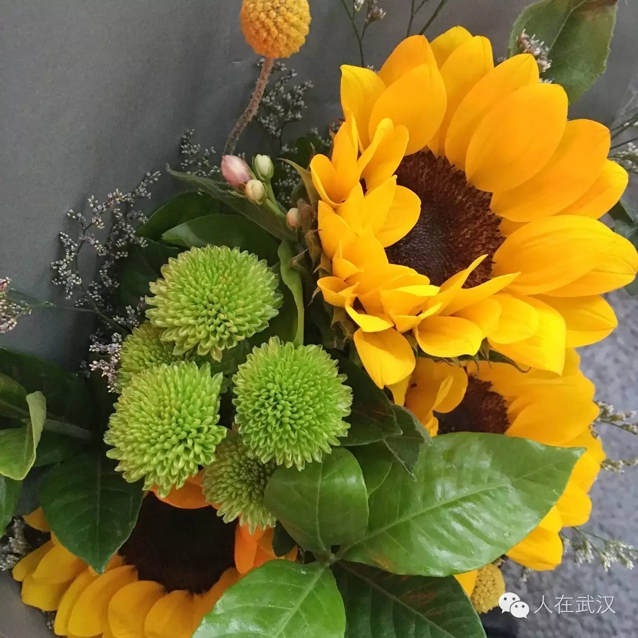 在武汉租房哪个便宜靠谱,武汉租房是什么感觉