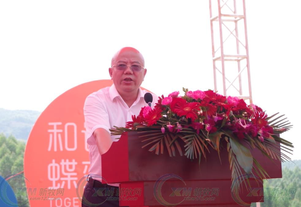 鑫广安农牧广西分公司,鑫广安母猪怎么样