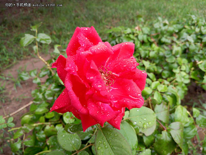 魅族MX6测评,魅族mx6最新测评