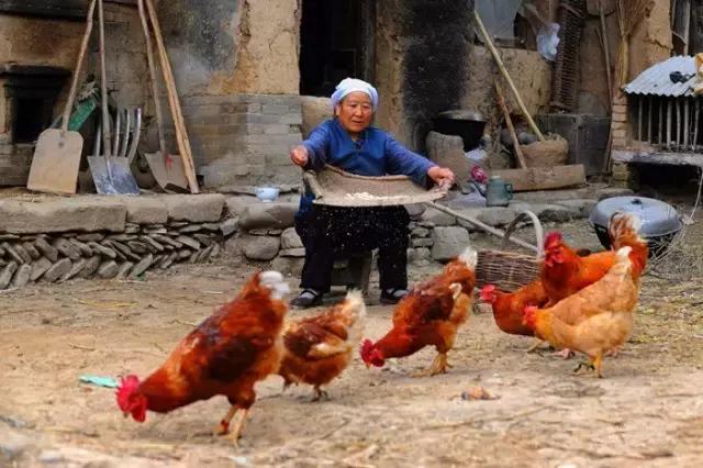 固原摄影风景,宁夏固原唯一印象摄影