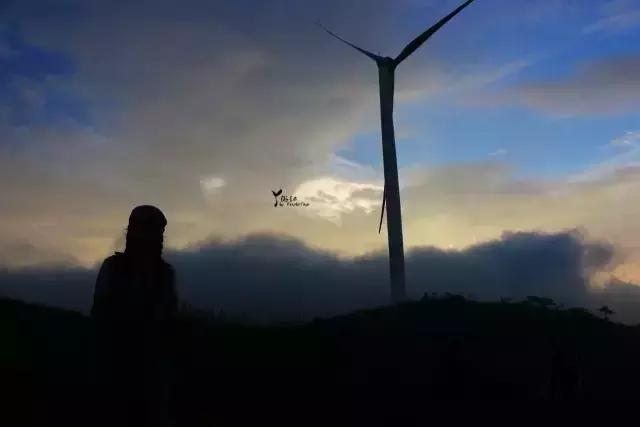 当百里荒遇上山楂树，预“谋”最纯爱的告白