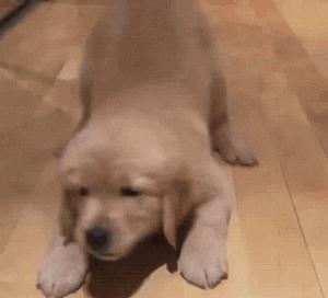 搞笑趣图真的假的,股市行情搞笑表情趣图