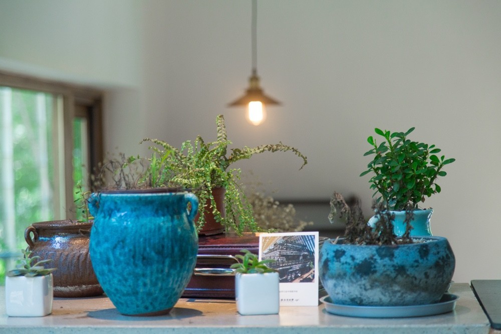 夏天去山上避暑好不好,莫干山下雨天旅游攻略详细