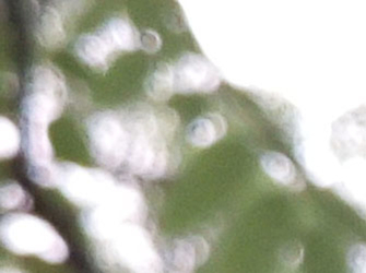 魅族MX6测评,魅族mx6最新测评