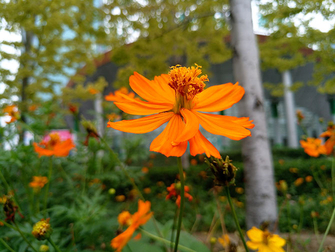 魅族MX6测评,魅族mx6最新测评