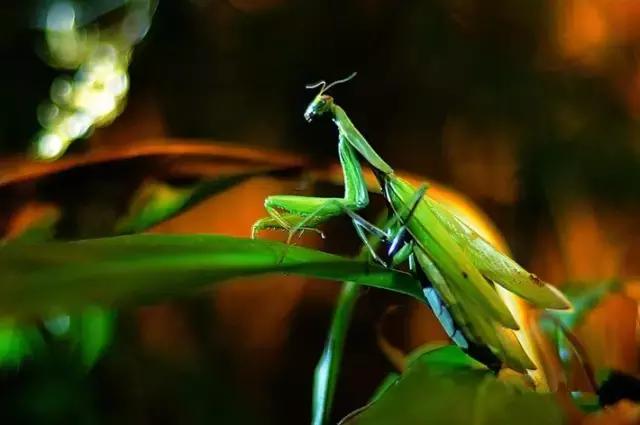 固原摄影风景,宁夏固原唯一印象摄影