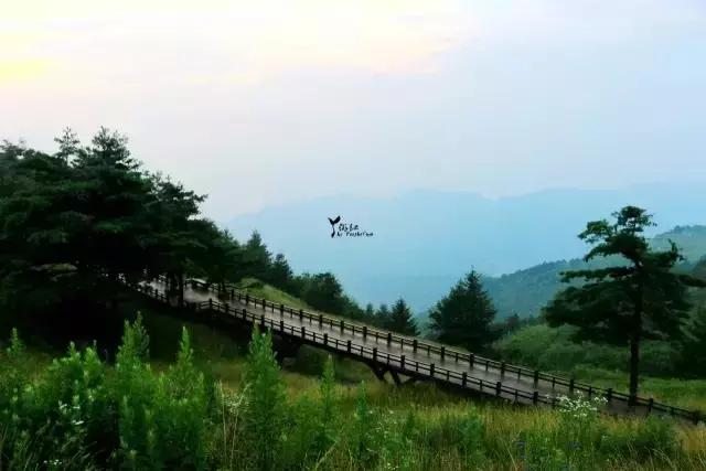 当百里荒遇上山楂树，预“谋”最纯爱的告白