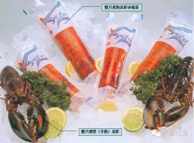 人气直追小龙虾的加拿大龙虾，关于它的干货都在这里