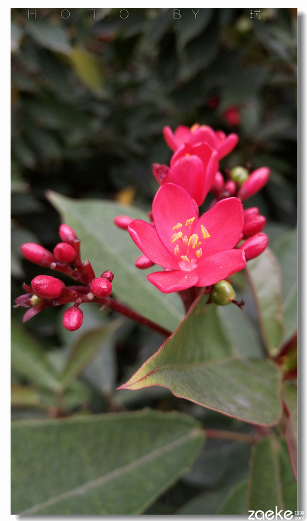 vivox60进游戏的速度,vivox6手机进入fastboot模式